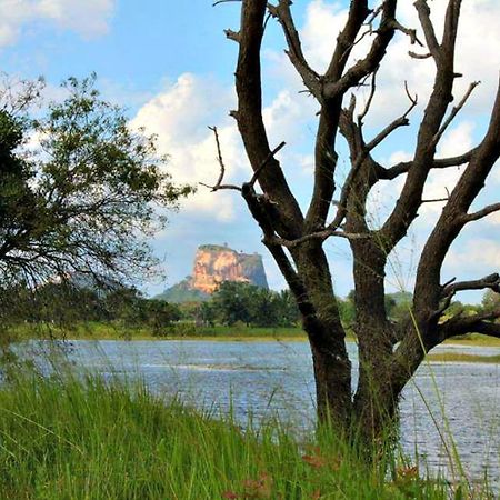 Rho Sigiriya Lake Edge Retreat Kibissa Екстер'єр фото