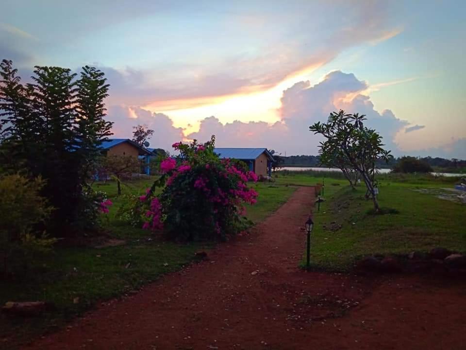 Rho Sigiriya Lake Edge Retreat Kibissa Екстер'єр фото