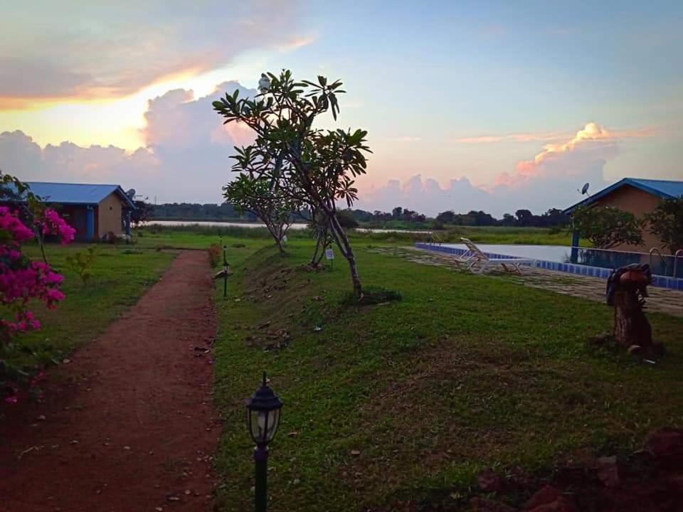 Rho Sigiriya Lake Edge Retreat Kibissa Екстер'єр фото