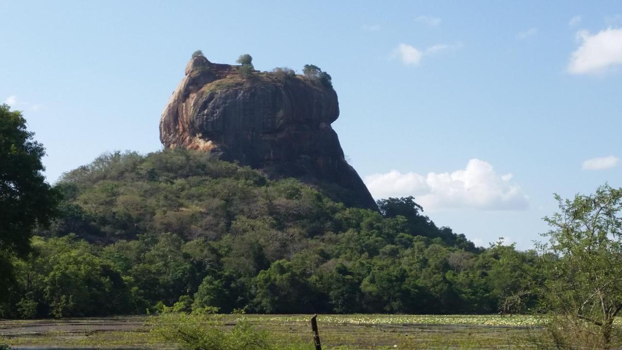 Rho Sigiriya Lake Edge Retreat Kibissa Екстер'єр фото