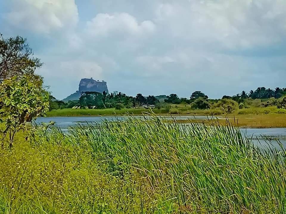 Rho Sigiriya Lake Edge Retreat Kibissa Екстер'єр фото