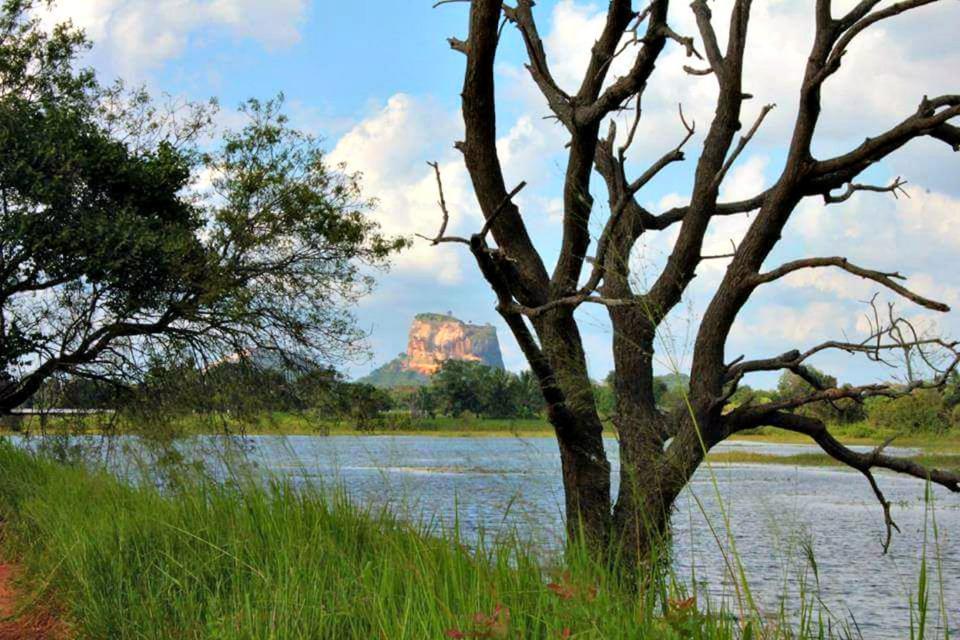 Rho Sigiriya Lake Edge Retreat Kibissa Екстер'єр фото