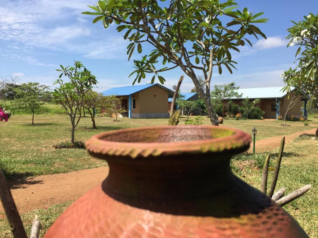 Rho Sigiriya Lake Edge Retreat Kibissa Екстер'єр фото